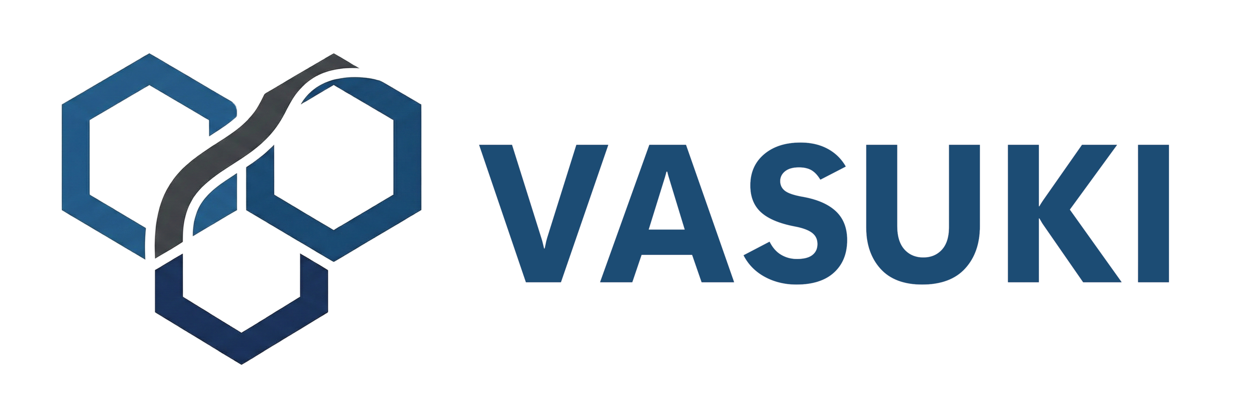 Vasuki logo